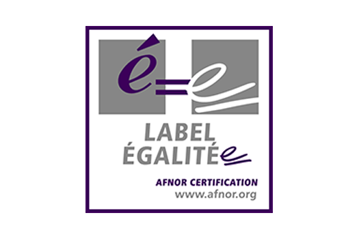 Label AFNOR 2023 Egalité Professionnelle - Synergie